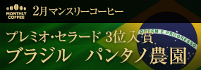 2月マンスリーコーヒー ブラジル　パンタノ農園