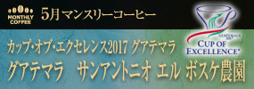 5月マンスリーコーヒー グアテマラ サンアントニオ エル ボスケ農園