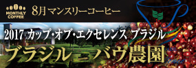 8月マンスリーコーヒー 〈ブラジル〉バウ農園