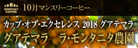 10月マンスリーコーヒー〈グアテマラ〉ラ・モンタニタ農園