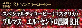 2月マンスリーコーヒー 〈コスタリカ〉ブルマス　エル・セントロ農園　レッドハニー