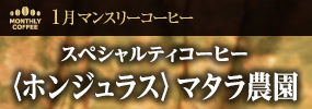 1月マンスリーコーヒー〈ホンジュラス〉マタラ農園