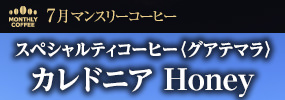 7月マンスリーコーヒー〈グアテマラ〉カレドニア Honey